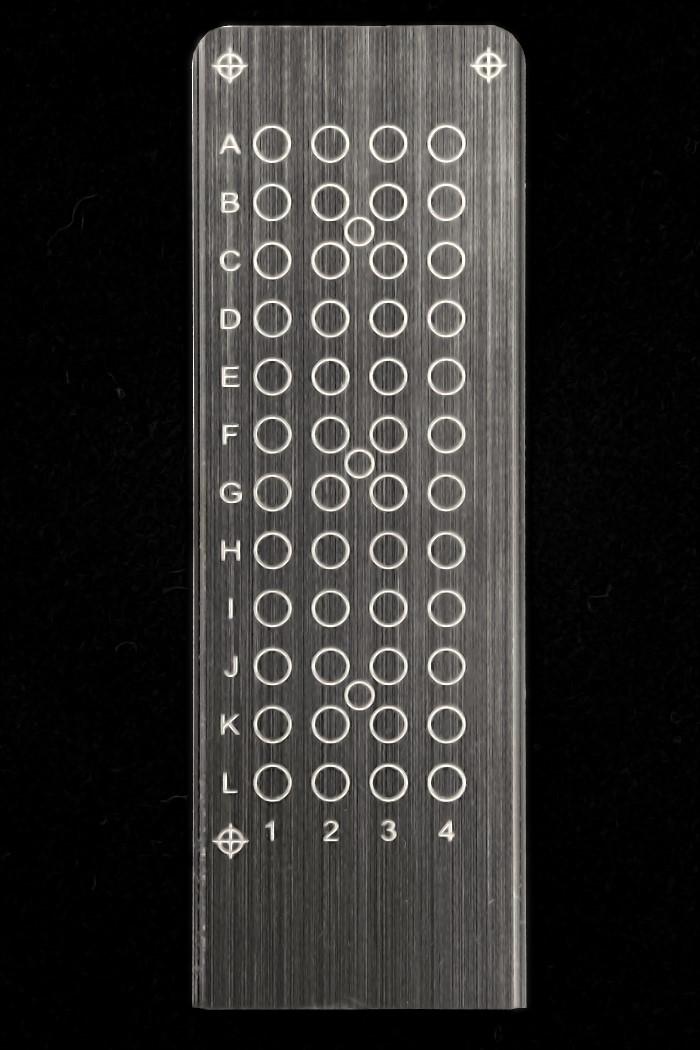 MALDI MS Microscope Slide 48 Well Sample Plates (Fleximass-SR48) Stainless Steel (4 plates)