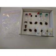 Reagents, Biotech, MALDI Matrix and Calibrants Kit